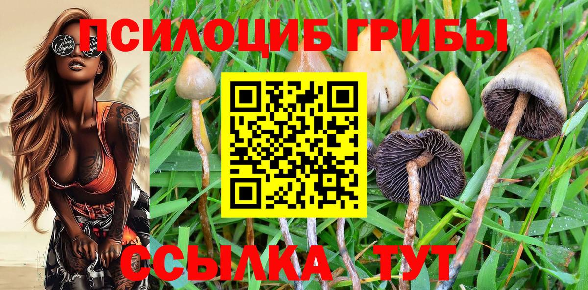 Галлюциногенные грибы Psilocybe  Галлюциногенные грибы мухоморы  Вход с VPN  Кисловодск 