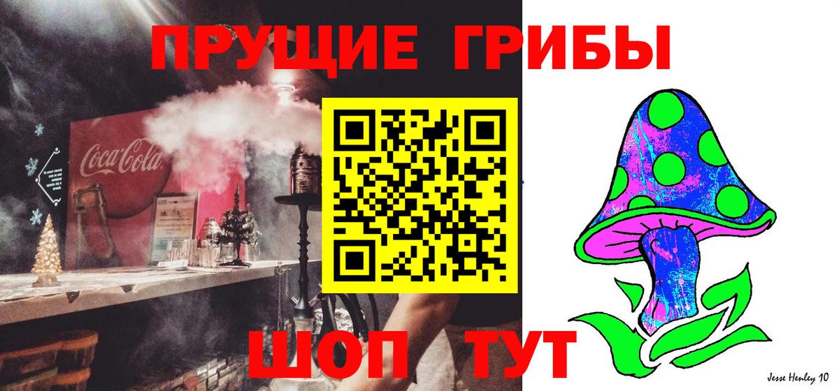 Псилоцибиновые грибы ЛСД Кисловодск